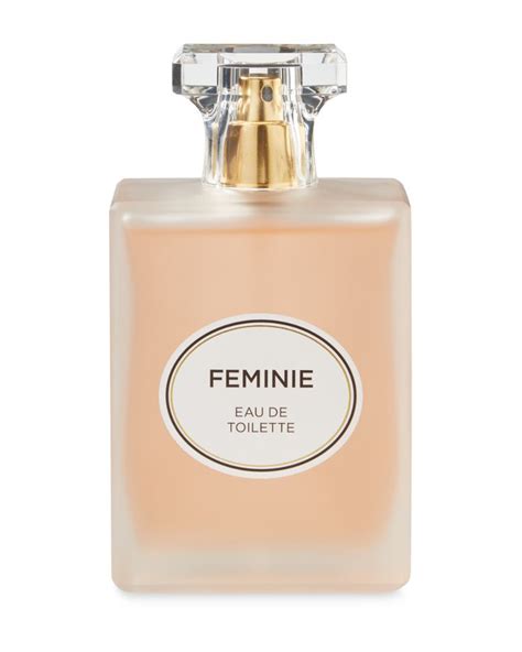 perfume similar to chanel|aldi perfume smells like Chanel.